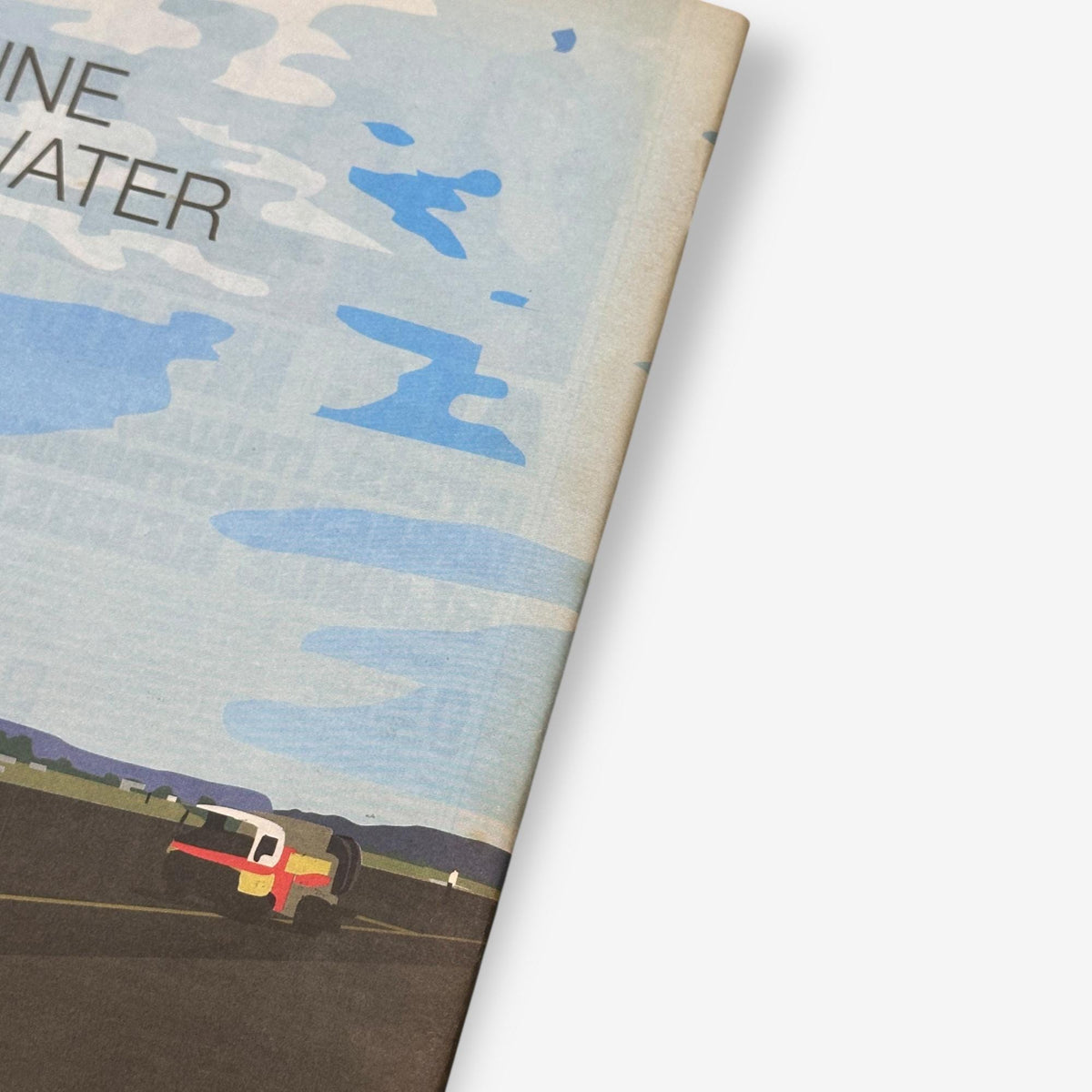 2000 Doves - The Rebirth Of Coo - NME Magazine