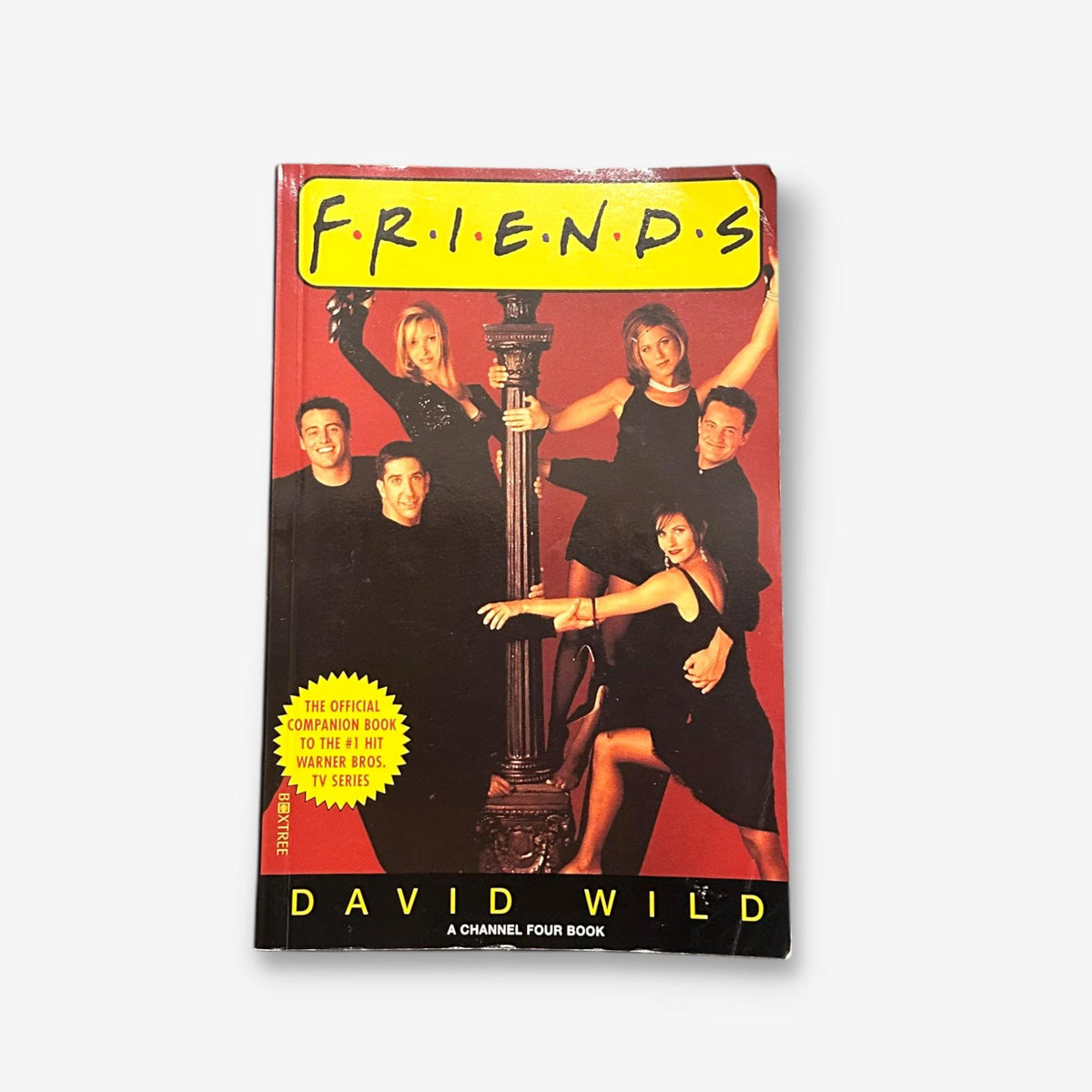 Friends - The Official Companion 1995 Paperback Book (David Wild)