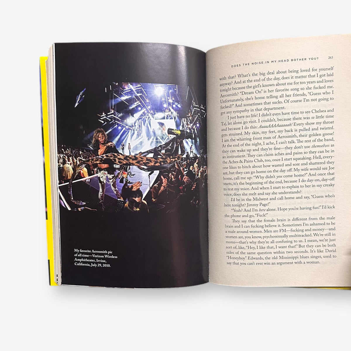 Steven Tyler - Does The Noise In My Head Bother You? - 2011 Hardback Autobiography Book