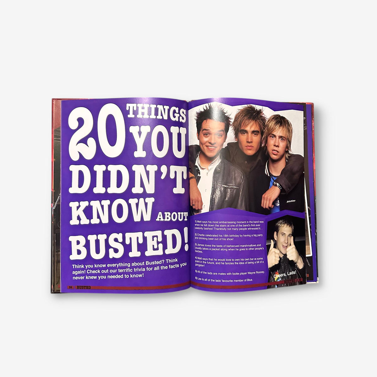 Busted - Annual 2005 Unofficial Hardback Book